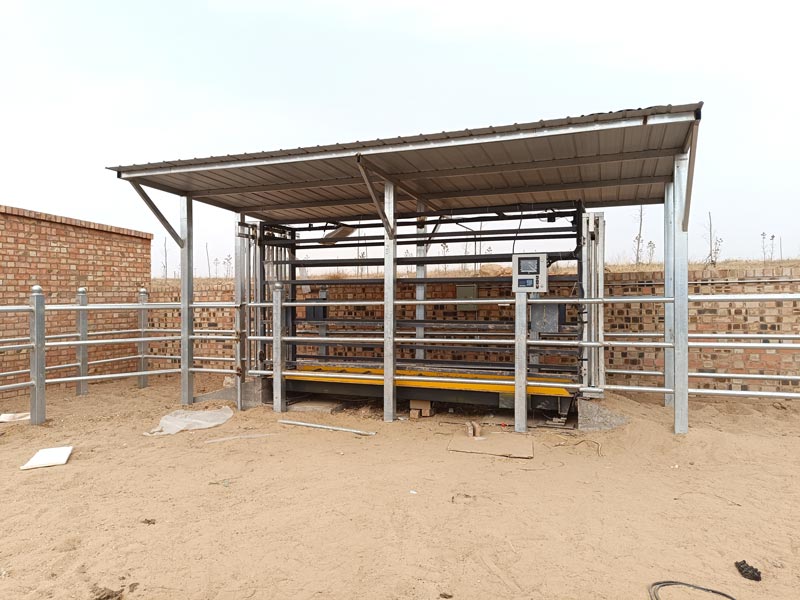 Livestock Handling Equipment