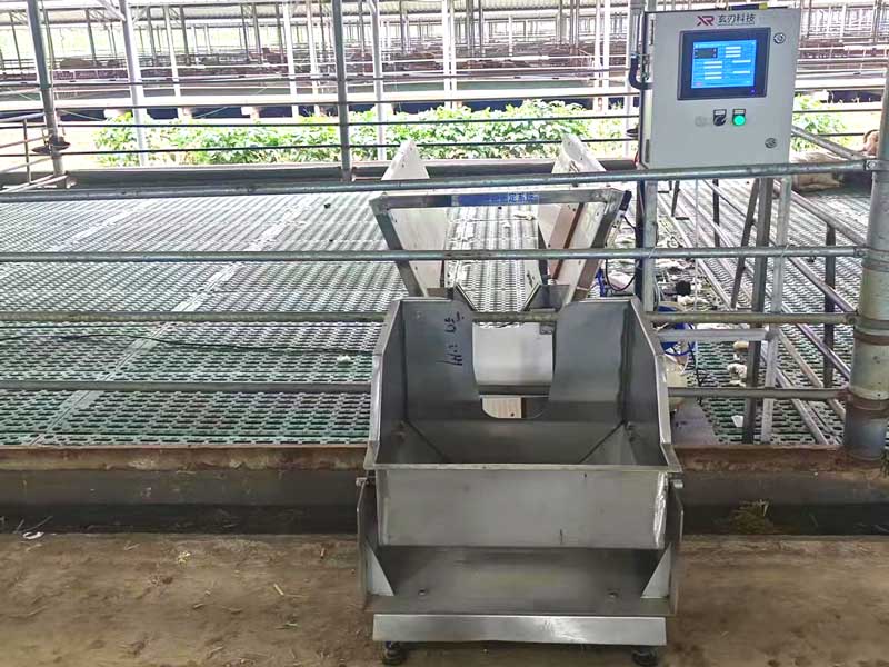 Automatic feeding controller