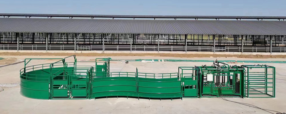 Essential livestock equipment for breeding and sale farms