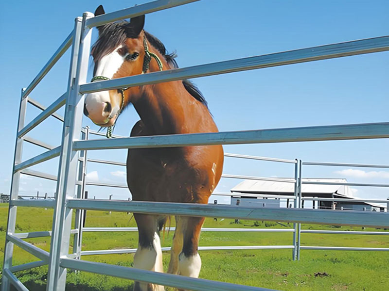 Livestock fence