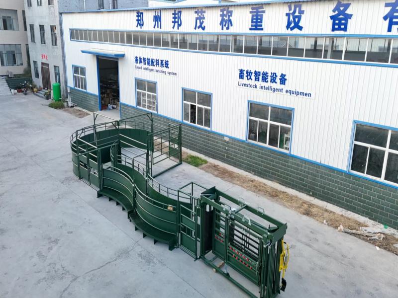 The cattle processing center has been successfully sold to Mongolia